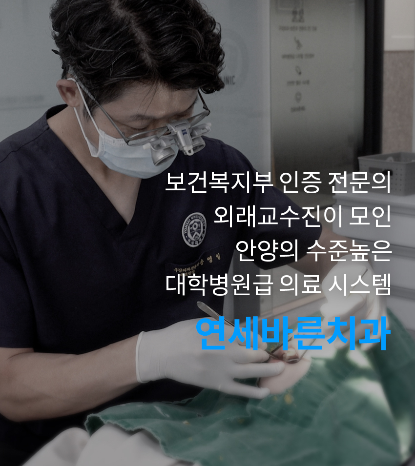 이미지명