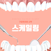 스케일링 주기 및 건강보험 적용여부